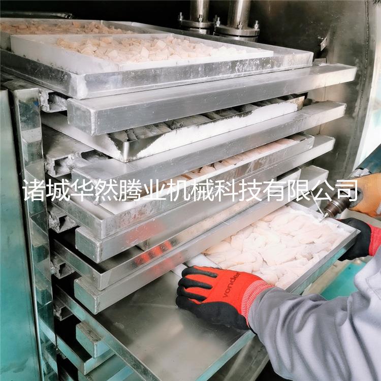 华然FDG-5平方草莓冻干机 香蕉片真空冻干机 榴莲低温干燥机
