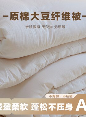 A类大豆纤e维被子冬被芯棉被夏凉被夏季春秋空调被单双人四季通用