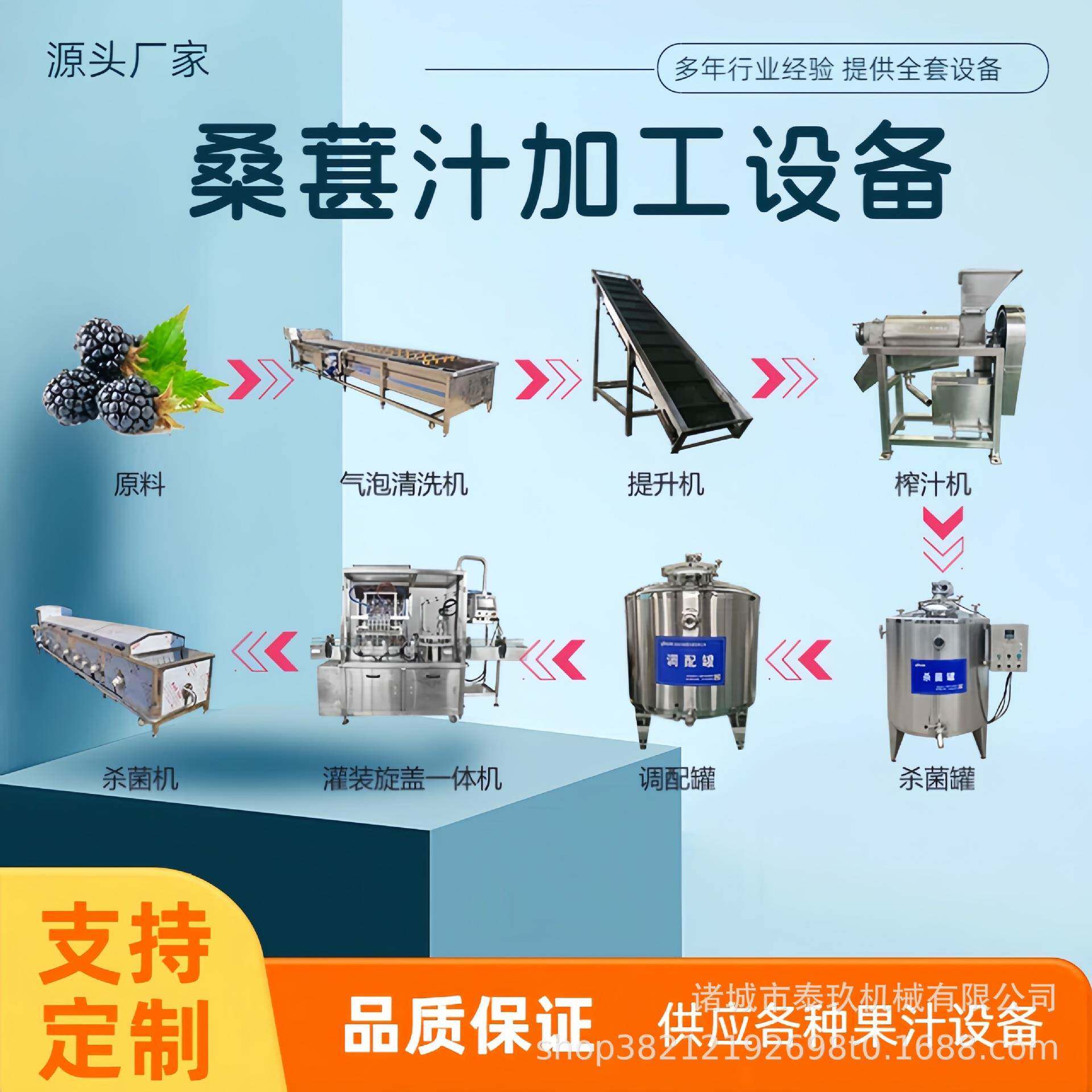 小型桑葚饮料加工设备全自动树莓汁饮料生产设备桑葚榨汁机