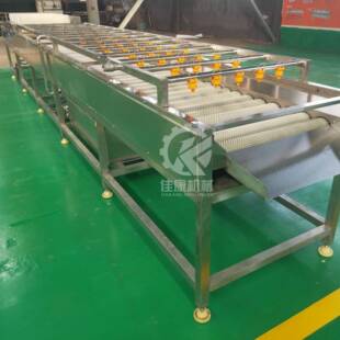 毛辊清洗机平行毛辊刷清洗机贝壳类根茎类毛辊果蔬清洗去杂