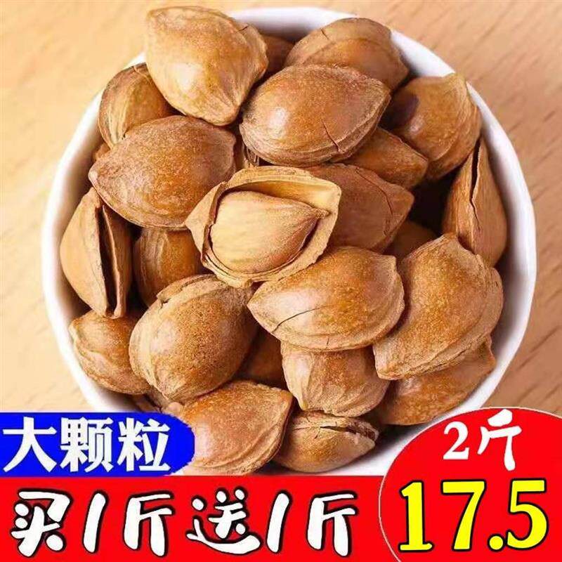新货2024新货薄壳开口杏核