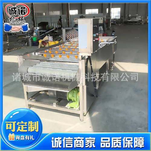 全自动荸荠去皮清洗机红薯平行毛辊清洗机土豆商用毛辊清洗机