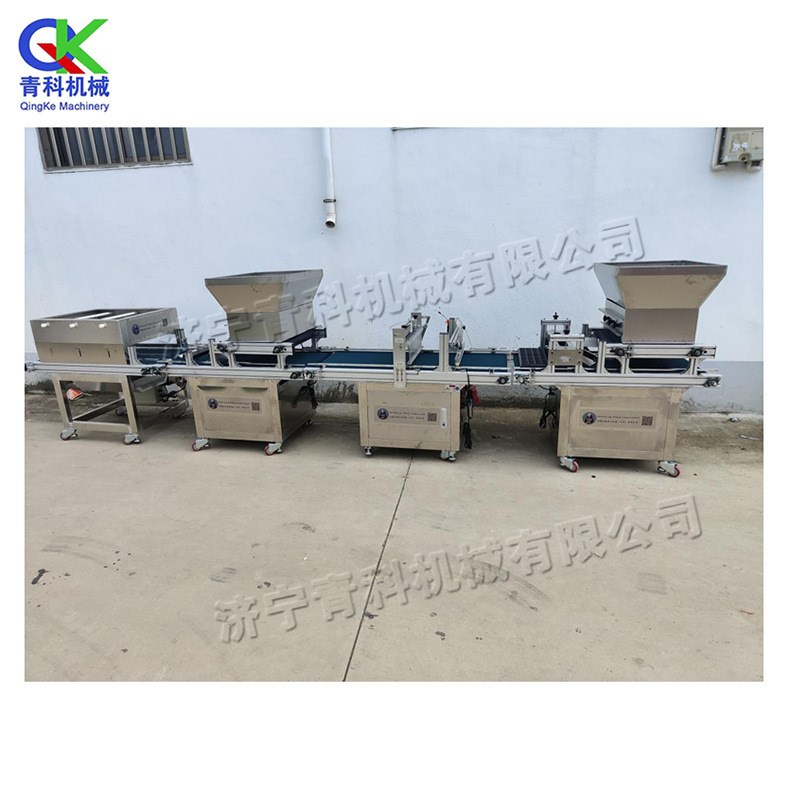 辣椒蔬菜穴盘育苗机 花卉用穴盘播种机 农业生产合作社自动育苗机