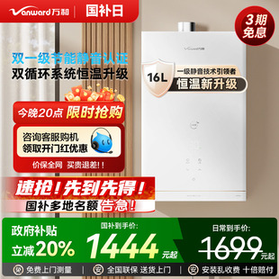 政府补贴 万和燃气热水器双伺服节能静音下置风机16升RF5