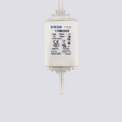 170M4146 170M4196 全新原装 170M   高压半导体熔断器保险丝