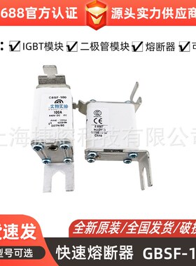 GBSF-100 低压快速熔断器电子元器件 库存充足全新原装封装标准