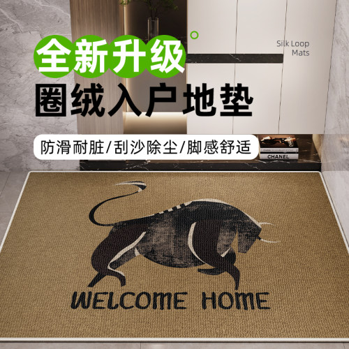 新款圈绒入户地垫耐磨除尘刮泥耐C脏家用脚踏垫防滑可擦免洗玄关