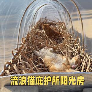 流浪猫户外窝大棚猫咪御寒保暖庇护所过冬天神器喂食屋遮雨棚帐篷