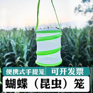 蝴蝶饲养昆虫笼可折叠蝴蝶笼子防虫纱网螳螂幼苗透光培育观察箱笼