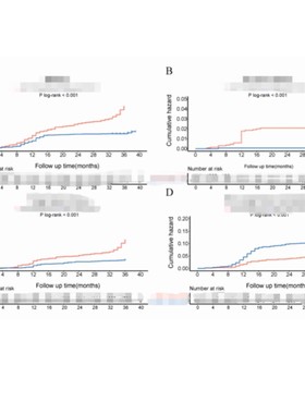 Kaplan-Meier曲线 KM曲线 Cox回归 Landmark数据分析教学