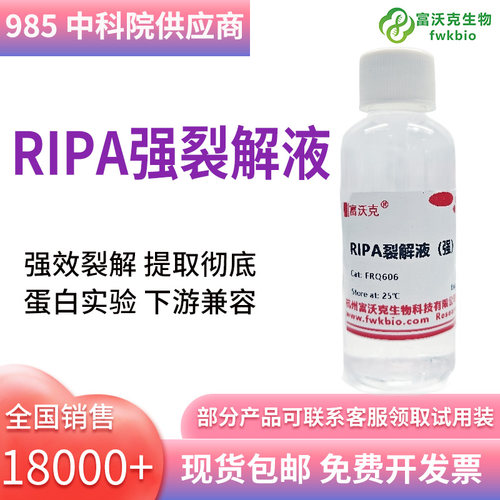 富沃克生物RIPA裂解液 强/弱细胞/组织快速裂解 PAGE/WB 提取蛋白