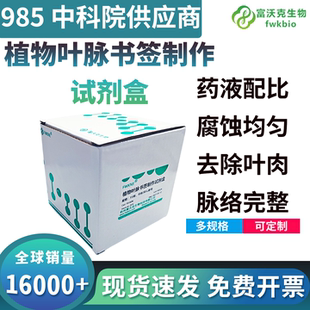 FWKNE DIY材料树叶画书签 叶脉书签制作材料去叶肉叶脉上浆