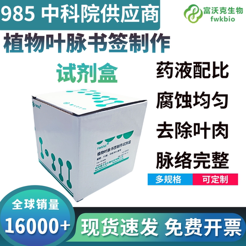 叶脉书签制作材料去叶肉叶脉上浆