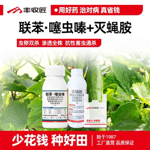 联苯噻虫嗪灭蝇胺农药组合杀虫斑潜蝇韭蛆鬼画符幼虫大葱豆角蔬菜