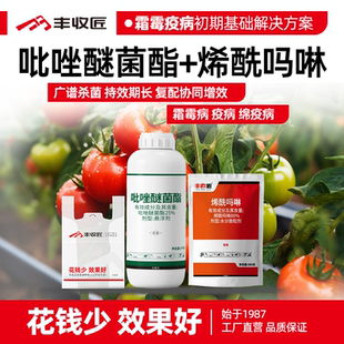 25%吡唑醚菌酯80%烯酰吗啉农药组合霜霉疫病晚疫病大田小麦黄瓜
