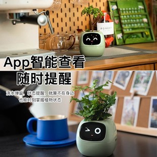 工位情绪稳定绿植摆件生日礼物女生闺蜜实用男生W送男友女朋友
