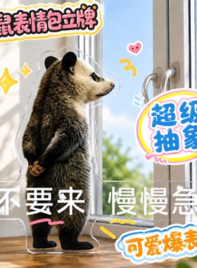 搞怪负鼠表情包亚克力立牌摆件