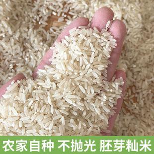新货农家自种大米新长粒优质晚稻籼米长江中下游老品种胚芽米不抛