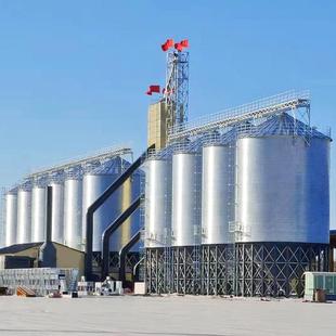 粮食钢板仓猪场粮库用2000吨小麦镀锌水稻小型立筒仓油葵钢板库