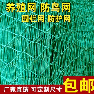塑料尼龙网菜园网养殖网养鸡网z山鸡网围栏网护栏网拦鸡网防护网
