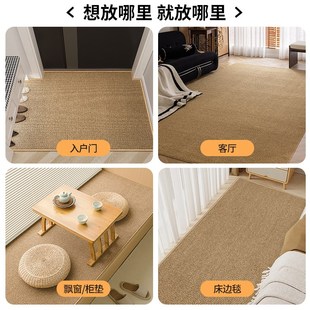 仿V剑麻入户门地垫纯色脚垫门口玄关客厅地毯防滑可裁剪 2025新款