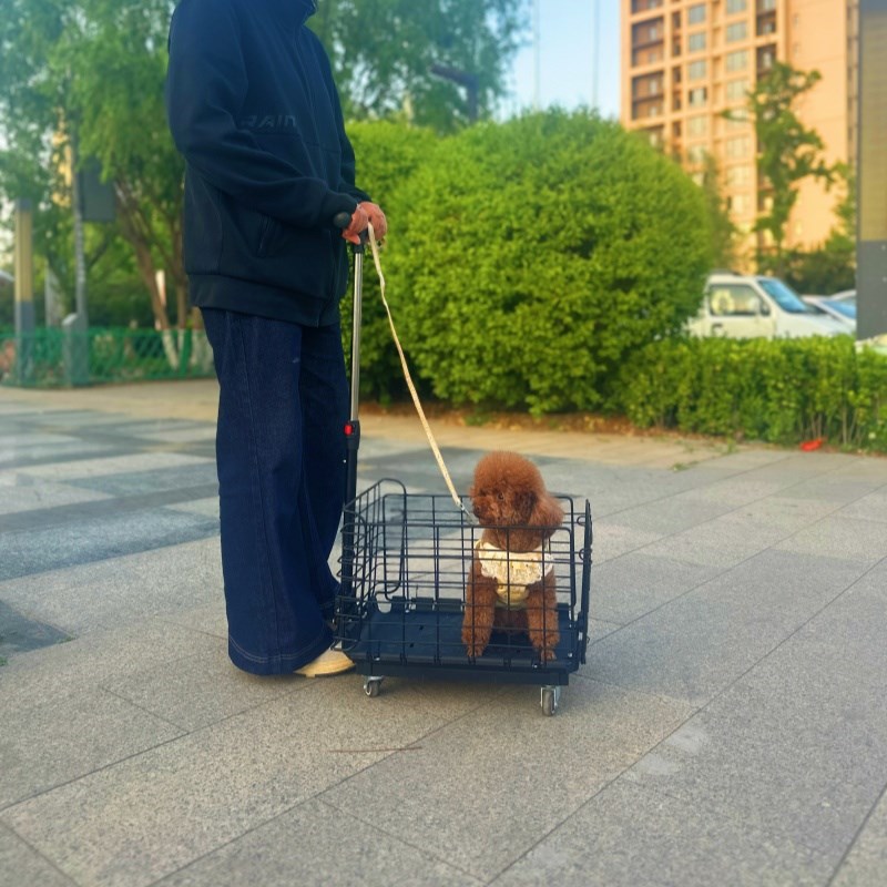 自行车后座车筐轻便老人买菜折叠筐学生书包筐购物T推车宠物小拉