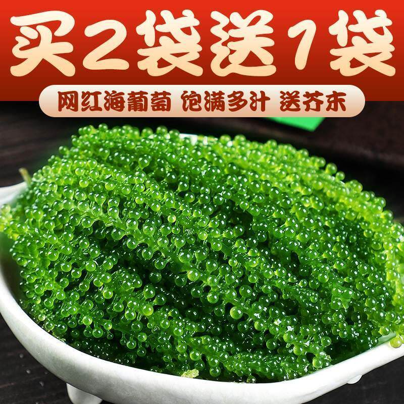 海葡萄即食无添加儿童食用水葡萄海藻菜送芥末新鲜即食海草裙带菜