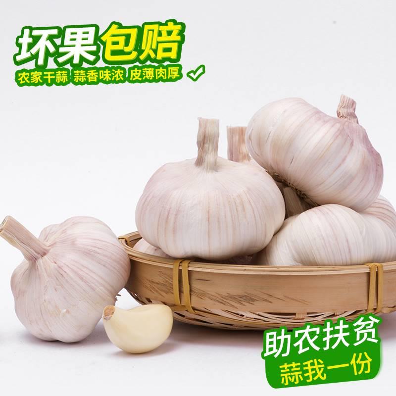 干大蒜头10斤自种河南杞县大蒜年蒜头干蒜5斤紫皮白皮2斤3斤