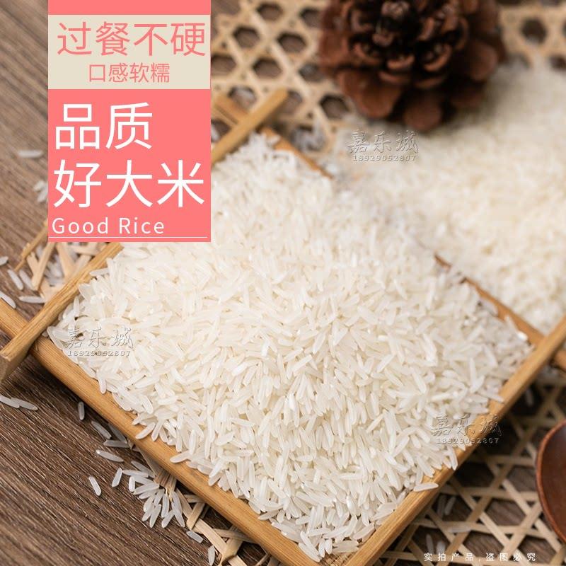 新货台山珍香三星丝苗米20斤南方软香油粘米餐馆酒店专用大米出饭