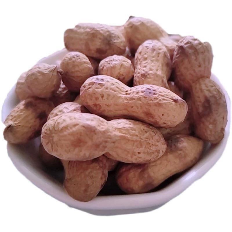 正宗赣州石花生江西农家土特产小花生原味带壳花生坚果秋季