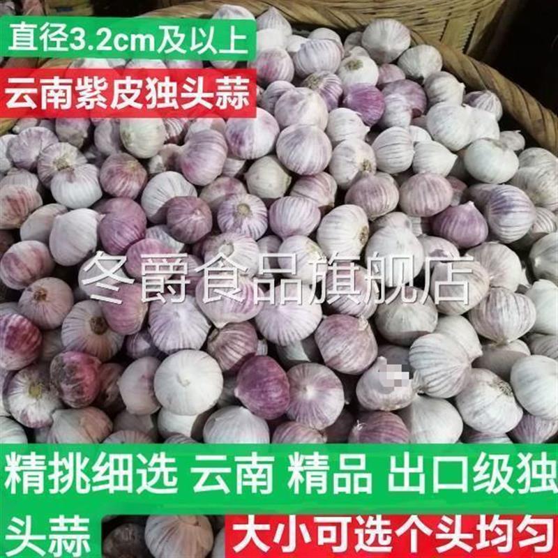 云南独头蒜大果独蒜头干蒜