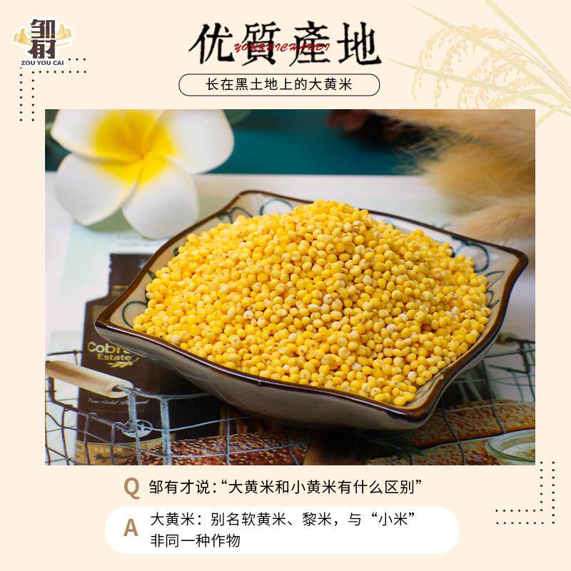 新品东北大黄米新米黏米粘