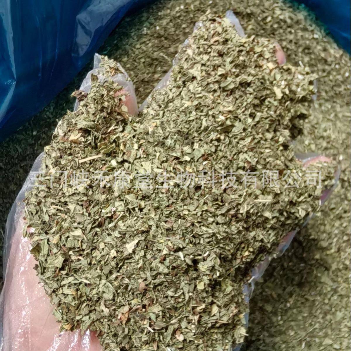 包邮留兰香薄荷茶碎散装 spearmint tea bag皱叶留兰香现货