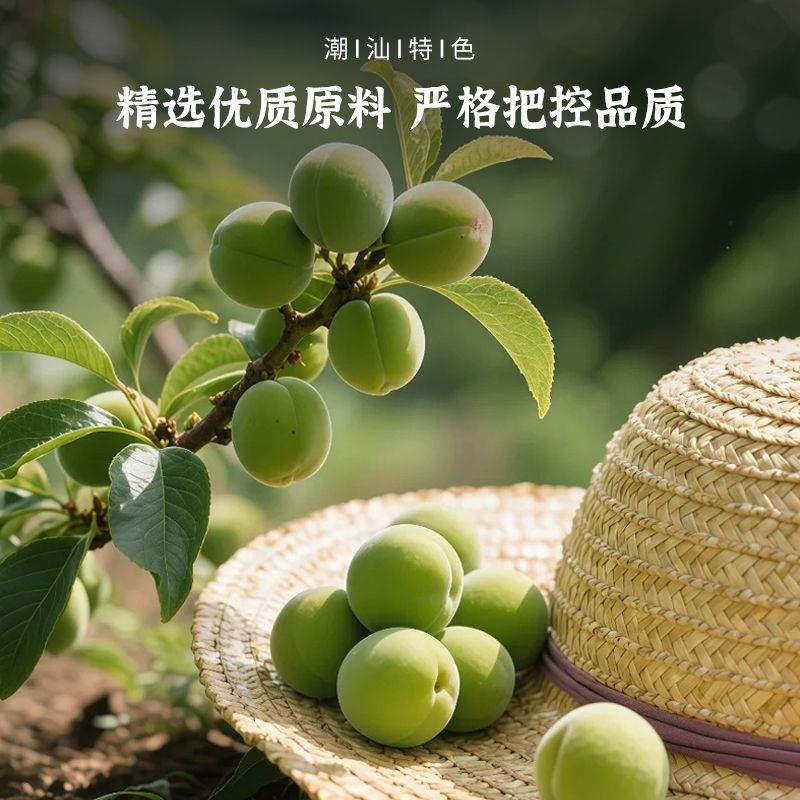 劲凉梅肉皇薄荷话梅干咸酸梅子九制潮汕风味果脯蜜饯怀旧解馋零食