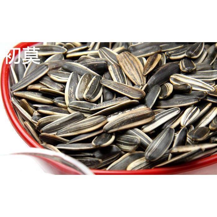 包邮新葵花籽齐兴原味五香奶油葵瓜子多味瓜子茶楼炒货零食10斤装