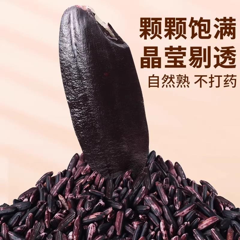 紫米新米粗粮烘焙当季酒酿麻薯专用五谷杂粮血糯米糙米饭全胚芽