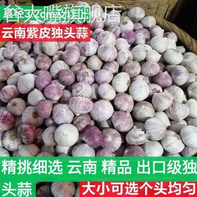 云南独头蒜大果独蒜头干蒜
