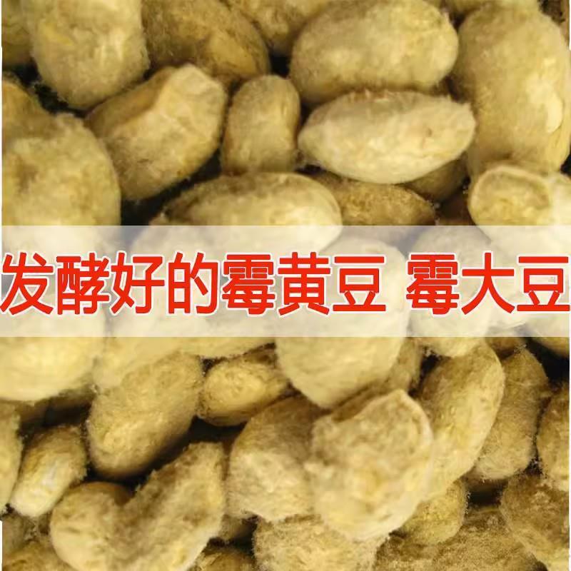 河南商丘新捂黄豆霉黄豆炒熟发酵小黄豆做酱黄豆西瓜酱辣椒酱酱油
