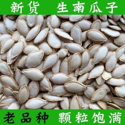 生南瓜子土南瓜籽随州洪山