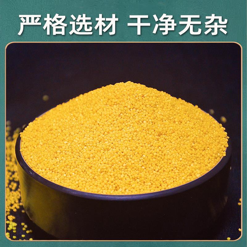 河南黄小米粥小黄米新小米农家食用糯新米五谷杂粮5斤包邮农小米