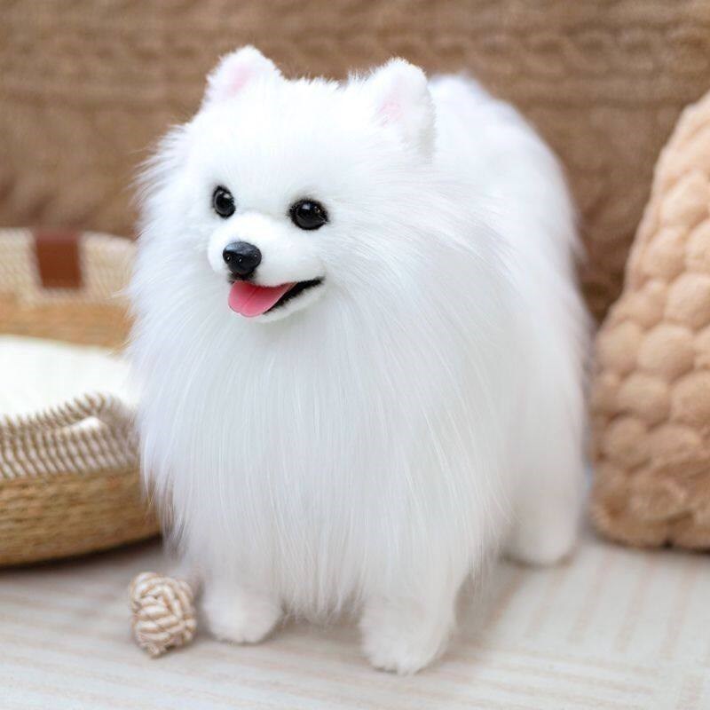 凯特胡赛尼仿真仿真o白博美犬狗狗玩偶公仔毛绒玩具男女孩陪伴礼