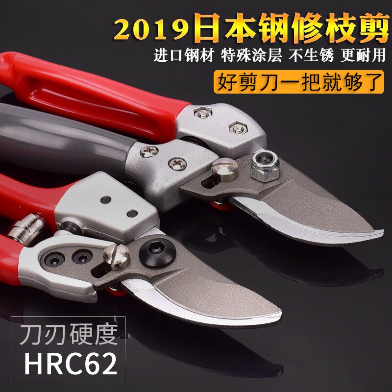 立锦园艺花c剪修花剪刀花草省力修枝剪园林工具果园果树剪枝剪T71