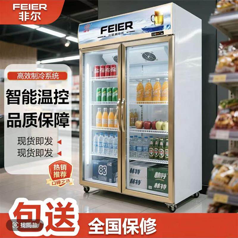冷藏冰柜保鲜双小型开门冷饮冷柜商用啤酒饮料冰柜冰箱立式展示柜