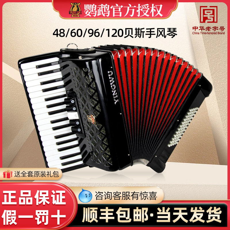 鹦鹉手风琴乐器专业儿童成人初学48键60/96/120贝斯演奏入门级