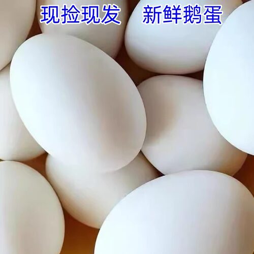 农家散养土鹅蛋大鹅蛋