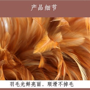 除尘禅子车用扫灰毯子不掉毛 纯手工真鸡毛掸子家用可伸缩老式