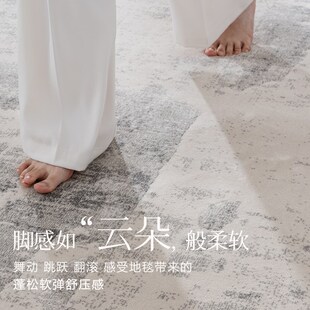 现代简约地毯客厅茶几毯床边地垫极简轻奢防水沙发高级灰2024新款