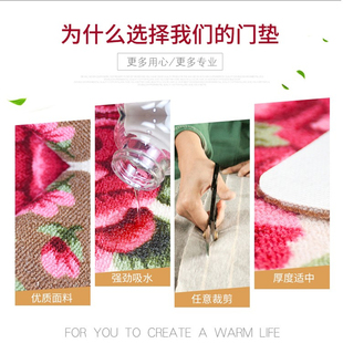 玫瑰花地垫入户门进门家用门口门外花瓣脚垫厕所洗手间房间过门垫