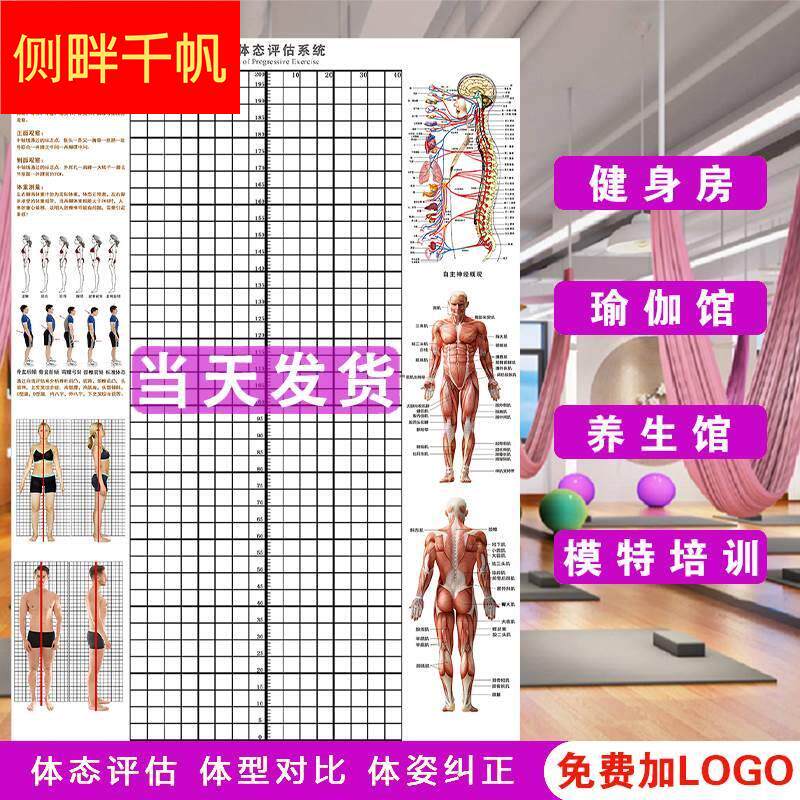 体态评估b表挂式贴式体测健身房瑜伽馆私教身高臂展网格身体对比