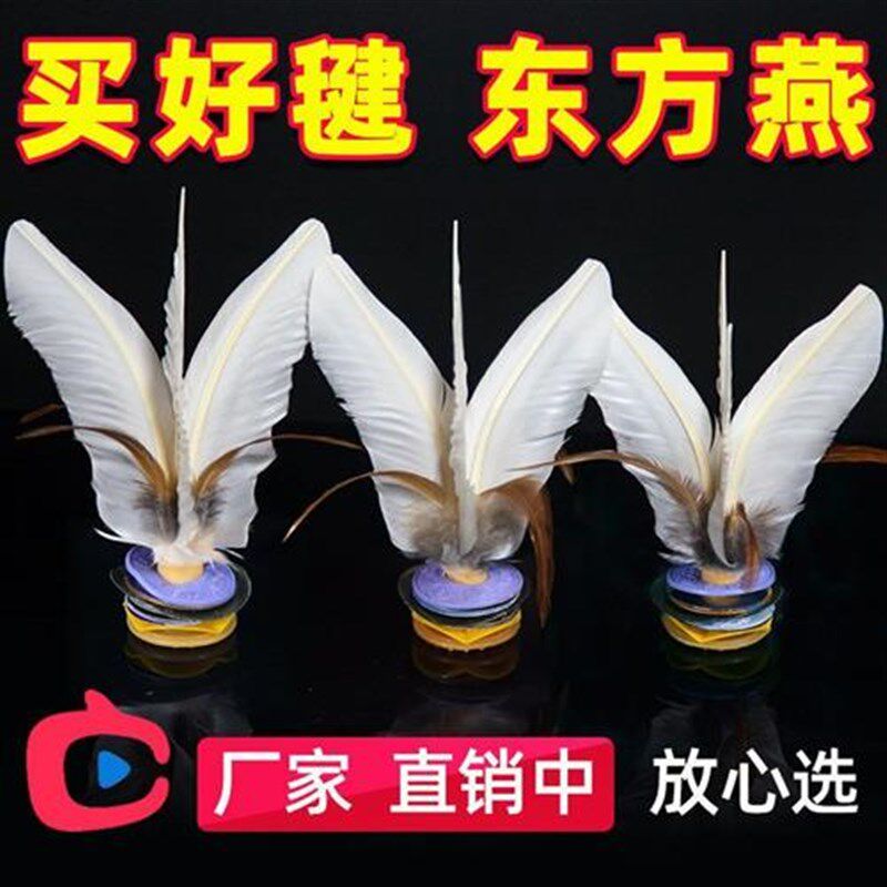 毽子成人健身比赛专用牛筋疙瘩座B踢围键鸡毛毽球包邮大白毽东方